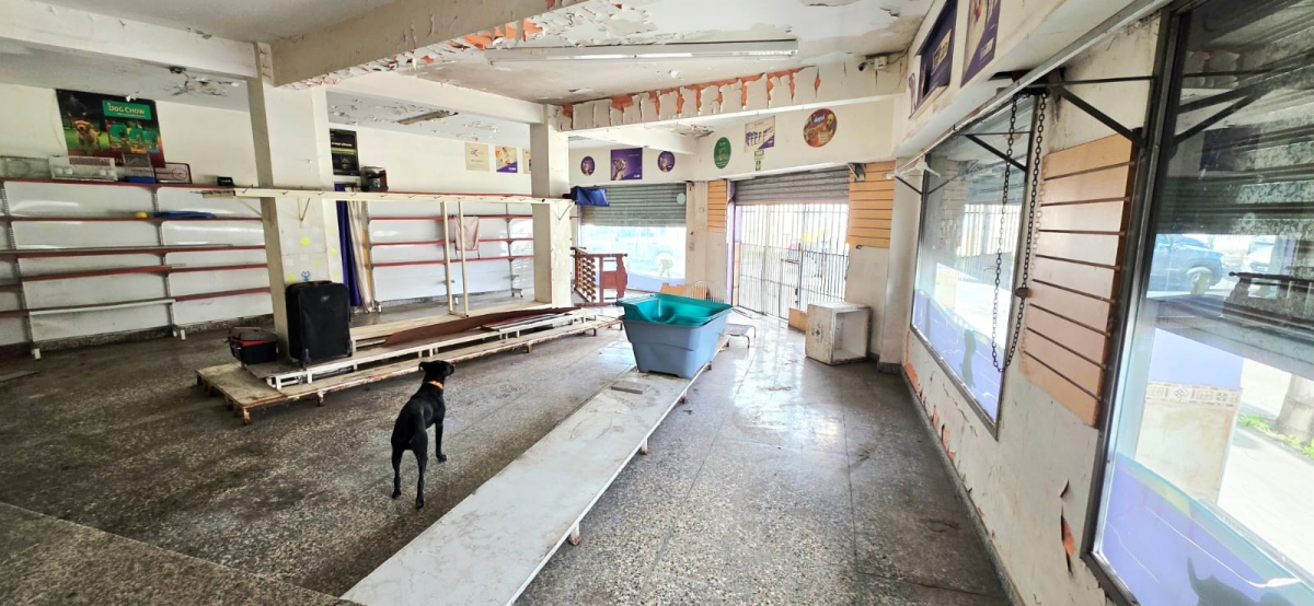 Local a la calle en Alquiler Ramos Mejia / La Matanza (A141 4295) - 6