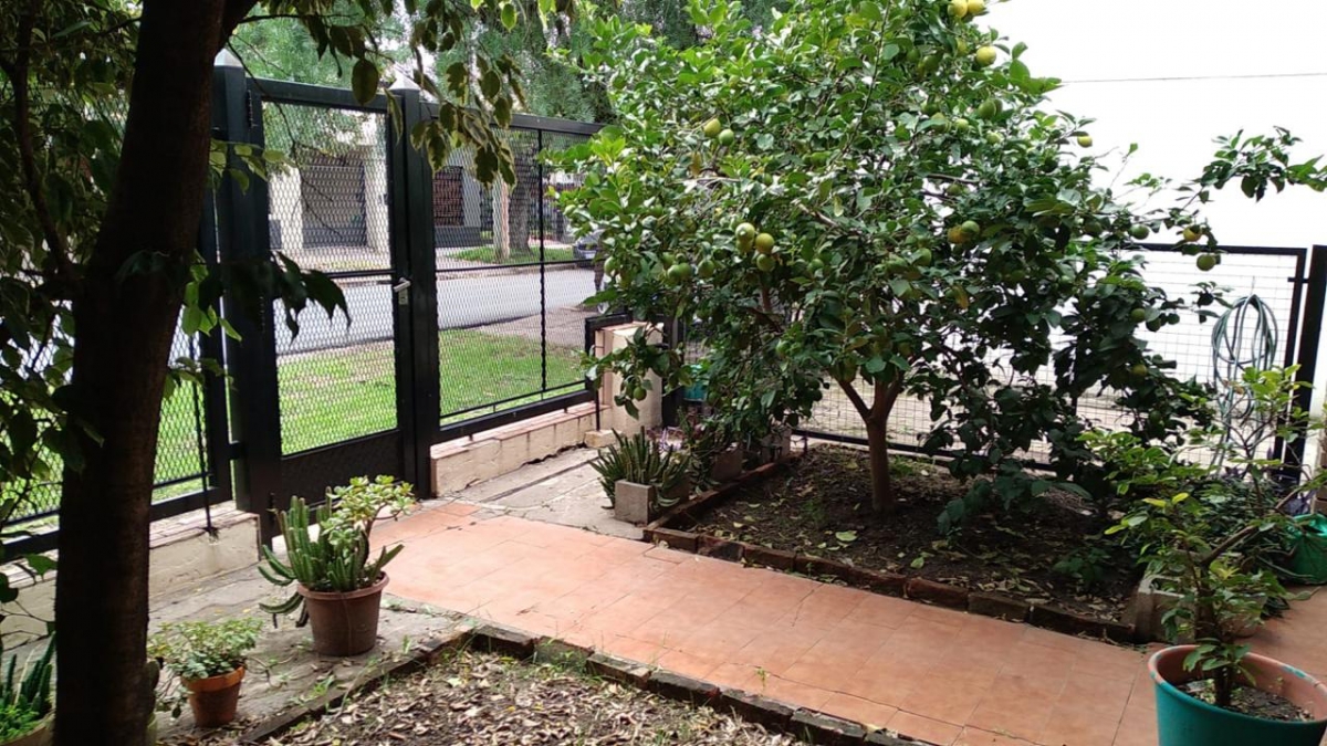 Casa en Alquiler Ramos Mejia / La Matanza (B111 494) - 12
