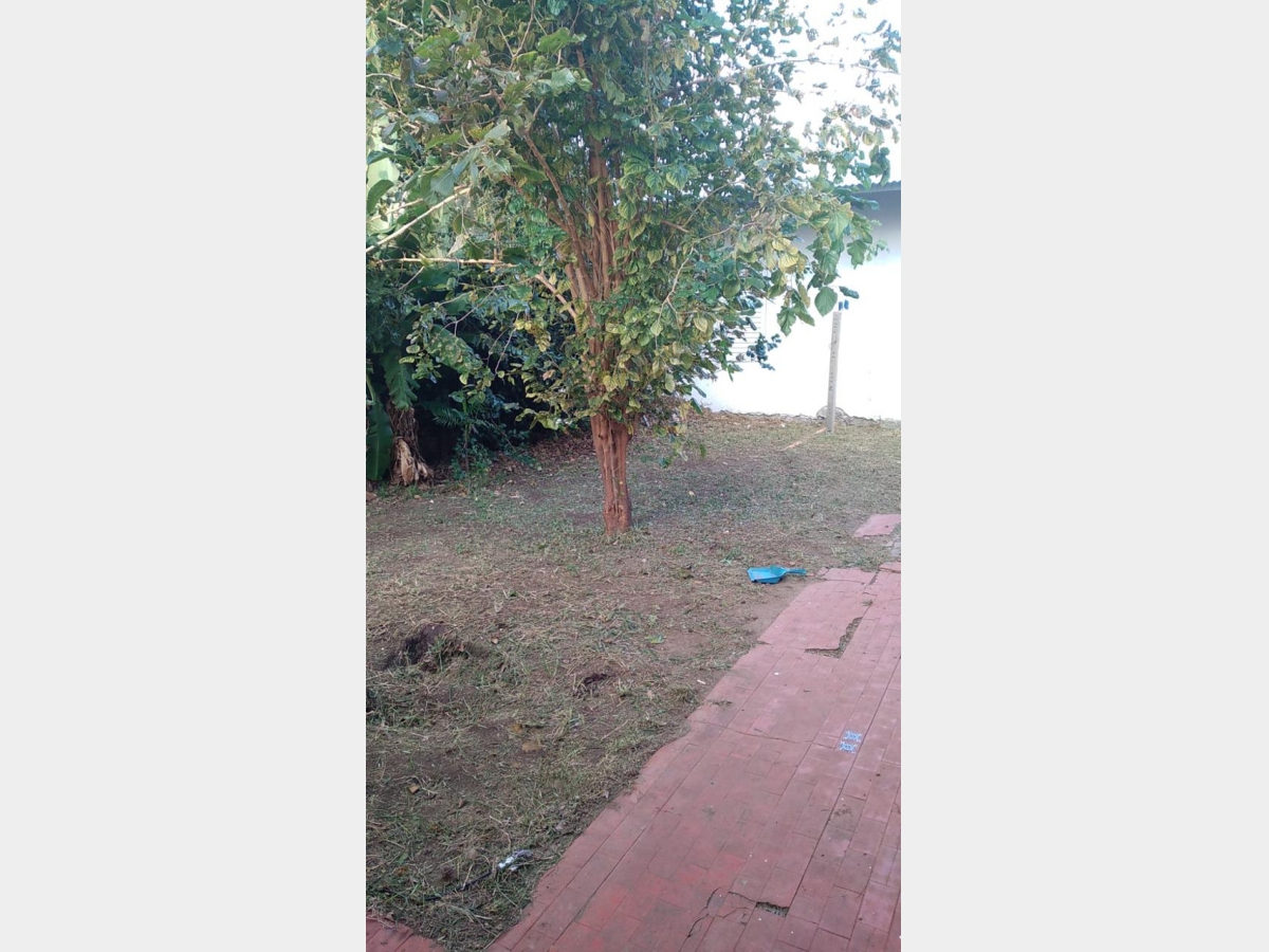 Casa en Alquiler Ramos Mejia / La Matanza (B111 494) - 3