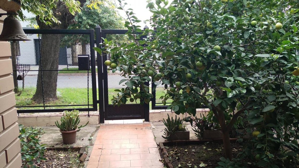 Casa en Alquiler Ramos Mejia / La Matanza (B111 494) - 8