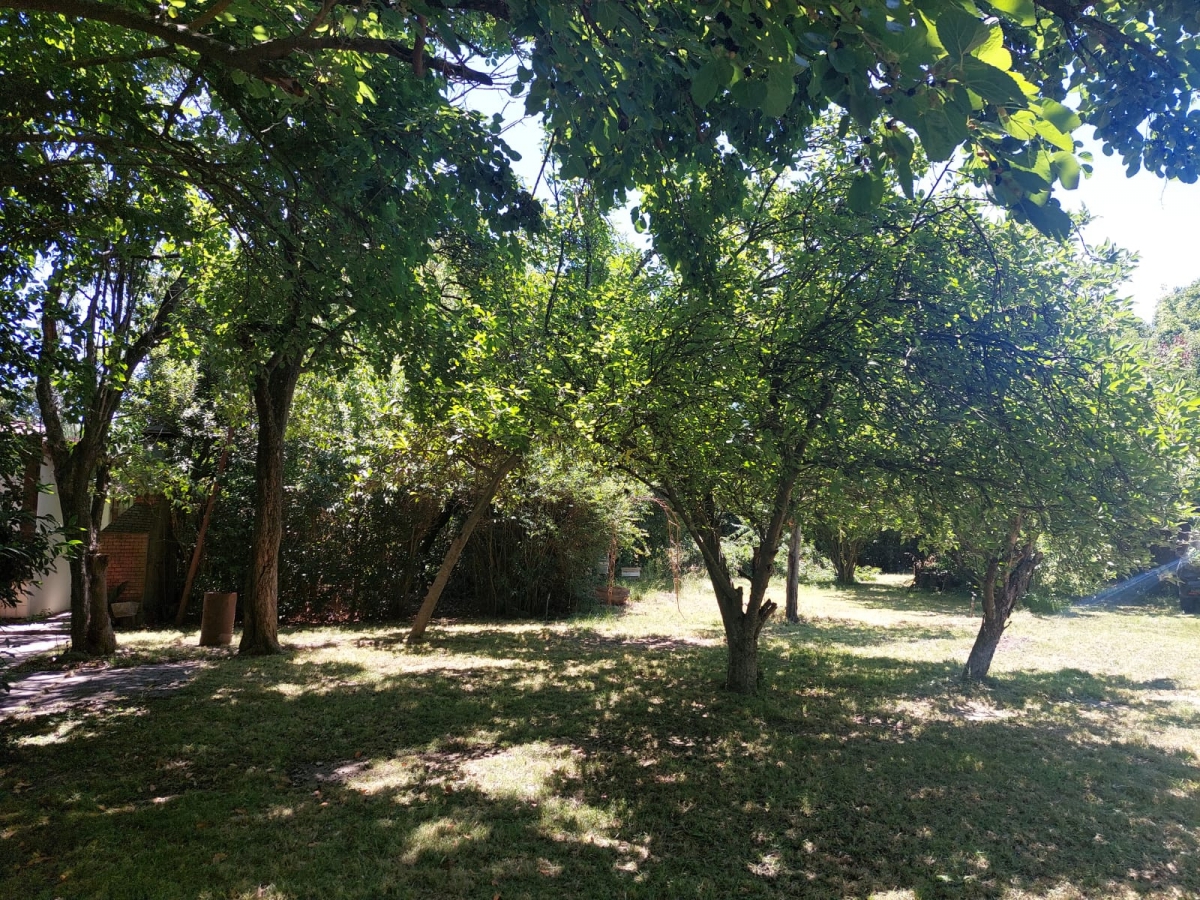 home-1