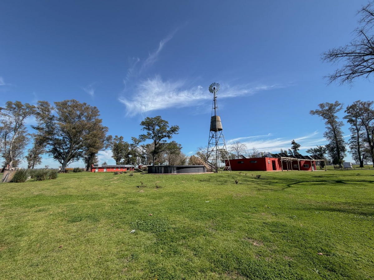 Lote en Venta Gral Rodriguez / General Rodriguez (B134 503) - 7