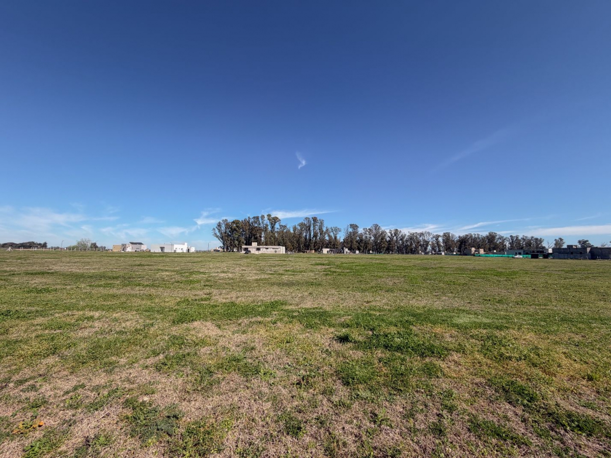 Lote en Venta Gral Rodriguez / General Rodriguez (B134 503) - 3