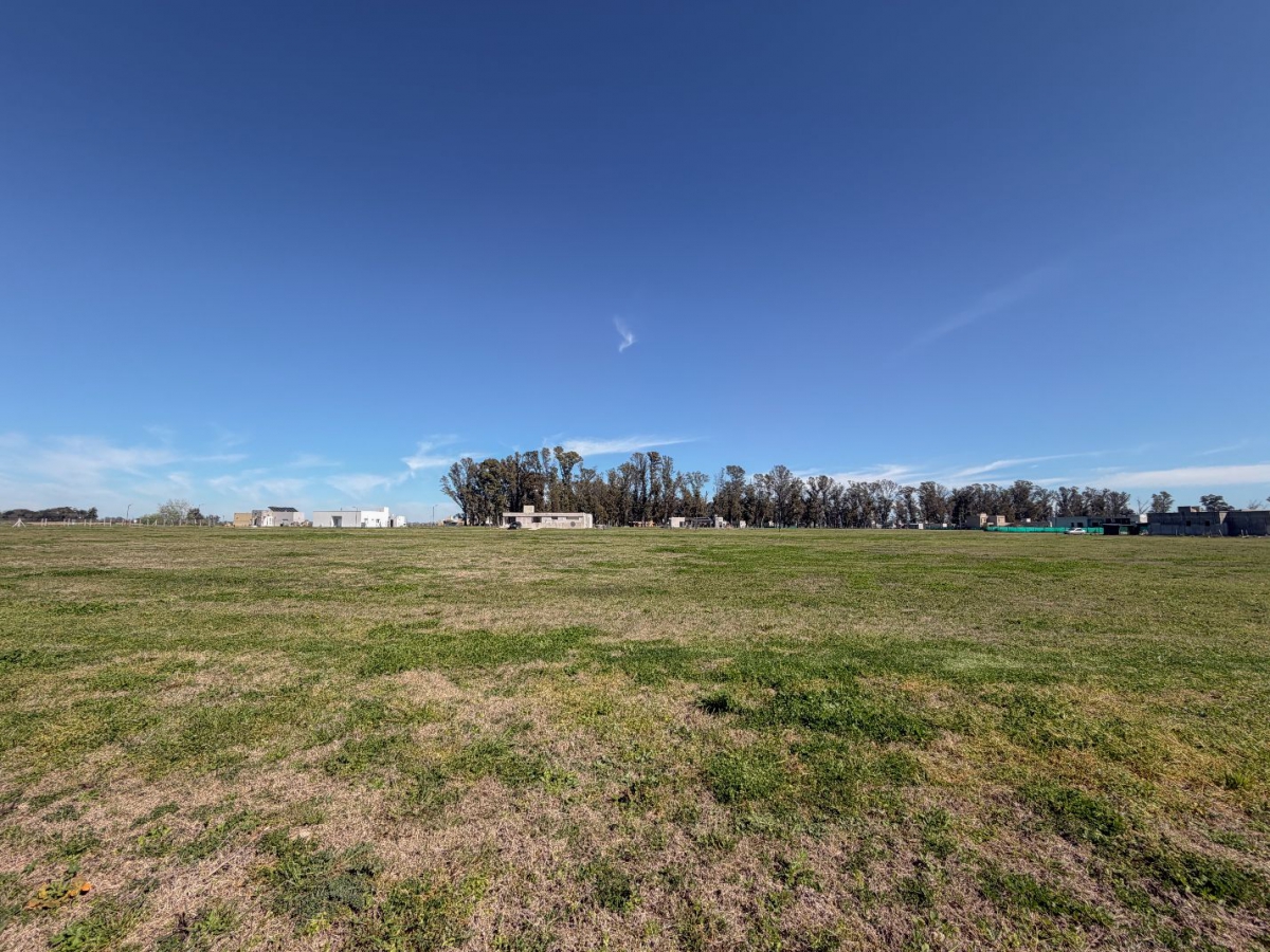 Lote en Venta Gral Rodriguez / General Rodriguez (B134 503) - 4